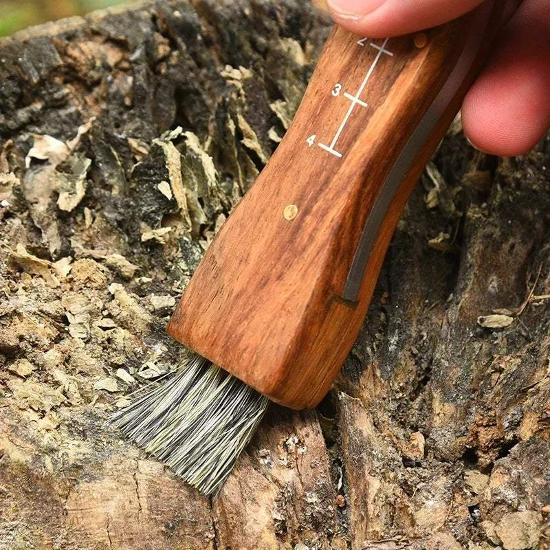 Couteau de cueillette pliant en acier inoxydable - Brosse intégrée et manche en bois. Idéal pour la cueillette de champignons.