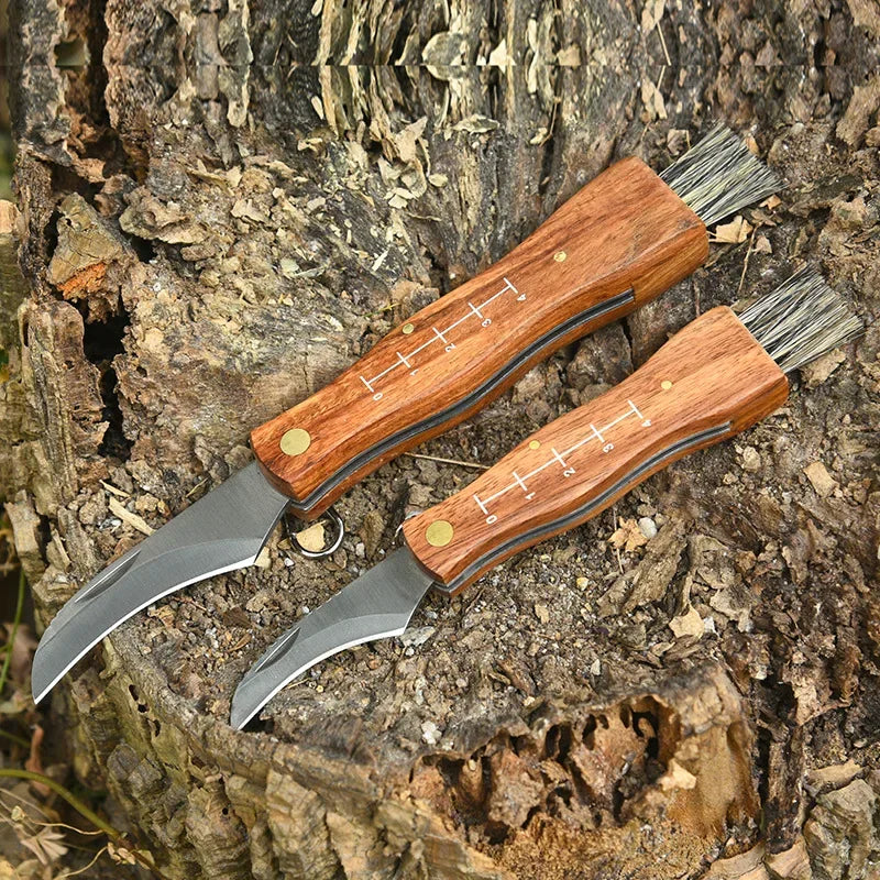 Couteau de cueillette pliant en acier inoxydable - Brosse intégrée et manche en bois. Idéal pour la cueillette de champignons.