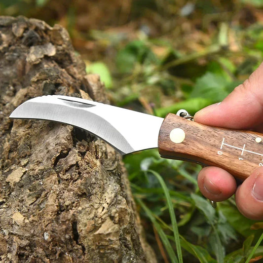 Couteau de cueillette pliant en acier inoxydable - Brosse intégrée et manche en bois. Idéal pour la cueillette de champignons.